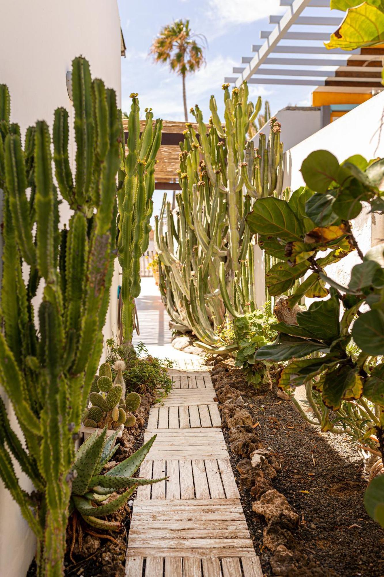 El Piloto By Best Holidays Fuerteventura Corralejo Exterior photo