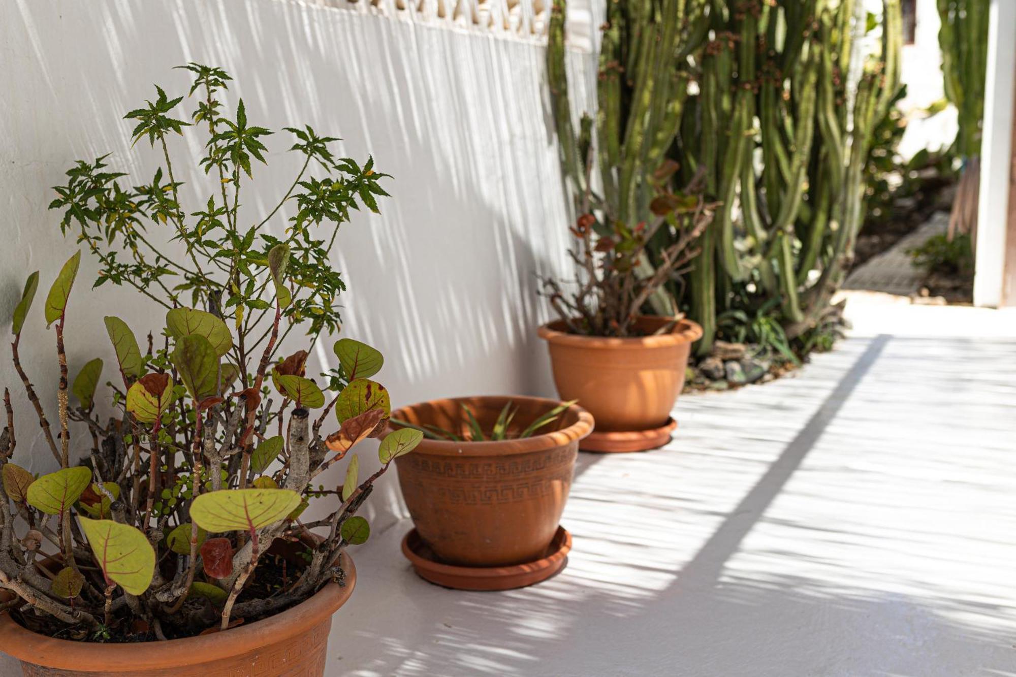El Piloto By Best Holidays Fuerteventura Corralejo Exterior photo